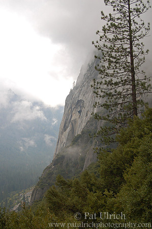 Granite and evergreens