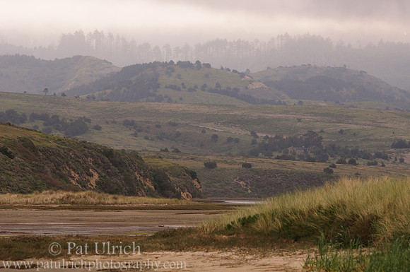 Quiet estuary