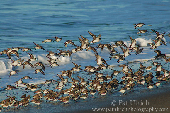 Group takeoff