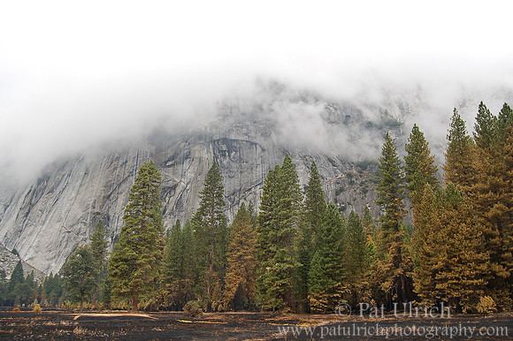 Foggy day in Yosemite Valley