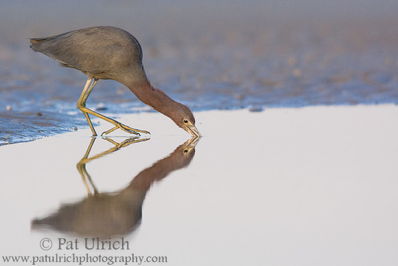 Walking on water
