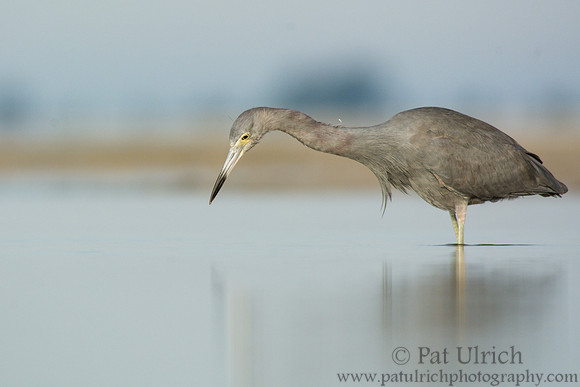 Watching for movement