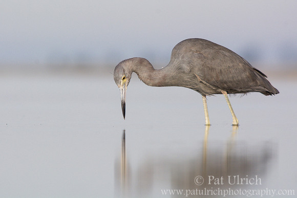 Intense reflection