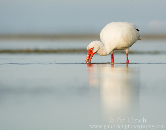 Knee-deep reflection