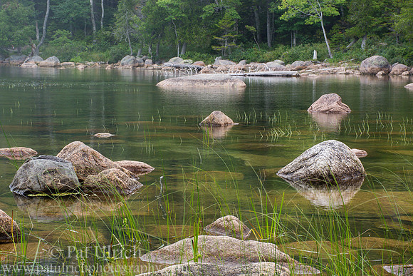 Grass and boulders in Jordan Pond