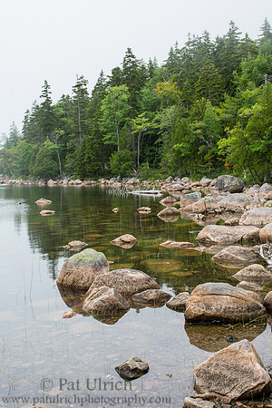 Jordan Pond shoreline in fog