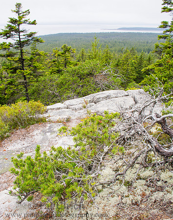 View from Schoodic Head