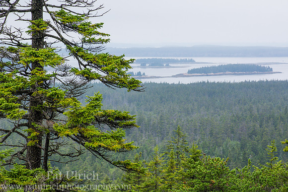 Islands in Frenchman Bay from Schoodic Head