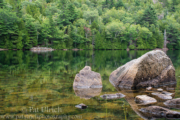 Along the shoreline of Bubble Pond