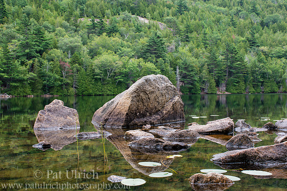 Reflections and lily pads