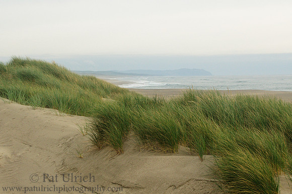 Dunes & Headlands, Kehoe Beach