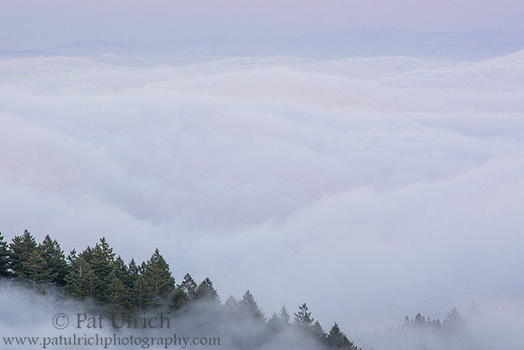 Above the rolling fog