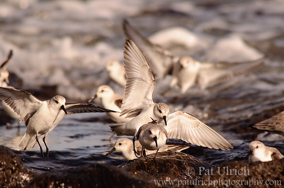 Takeoff and Landing, Chaotic