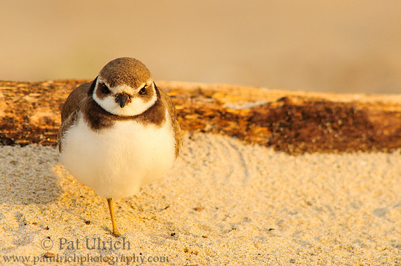 Keep your toes in the sand