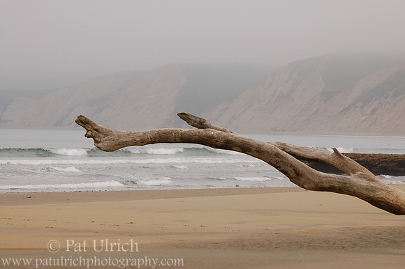 Driftwood
