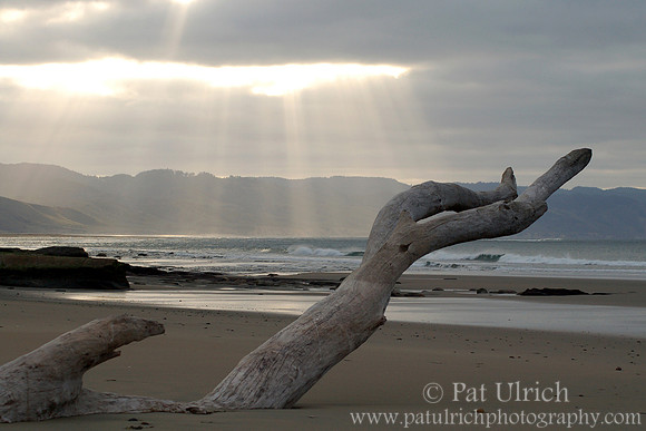 Sun Rays at Point Reyes #1