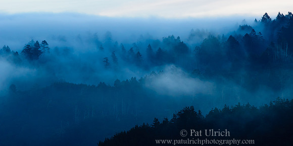 Rolling fog at sunrise