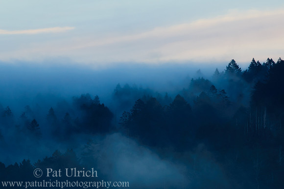 Fog over Inverness Ridge