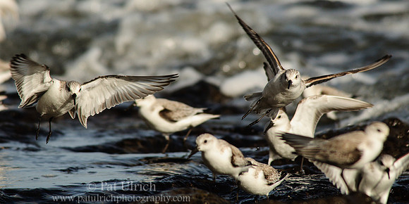 Takeoff and Landing, Chaotic