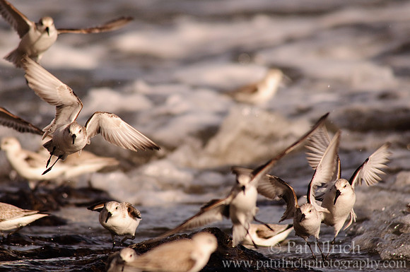Takeoff and Landing, Chaotic