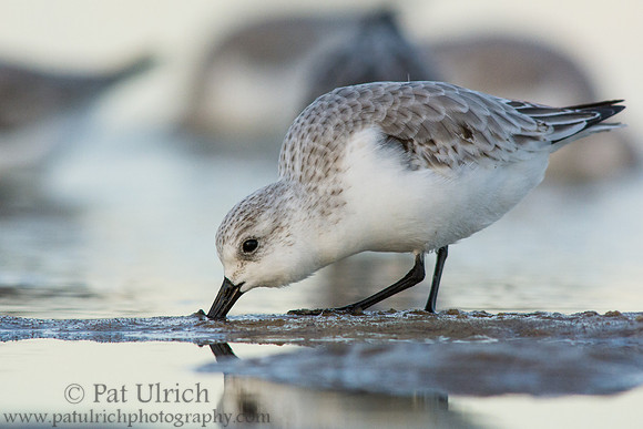 Probing the sand