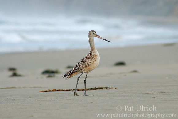 On tip-toes