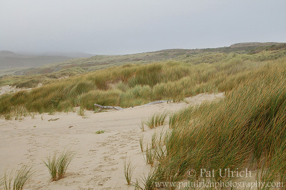 Overcast sand dunes