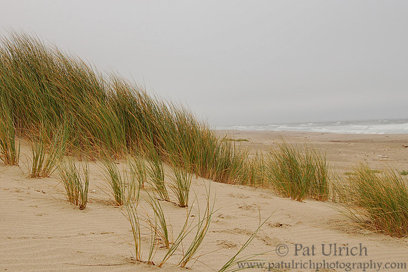 Kehoe Beach
