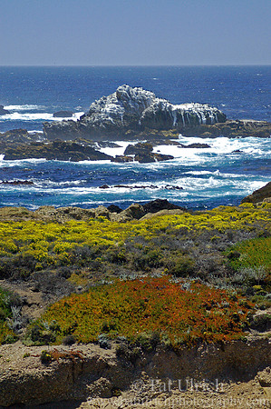 Painted coastline