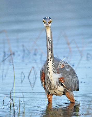 What're you lookin' at?