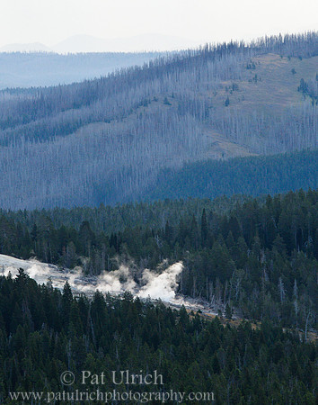 Steaming landscape
