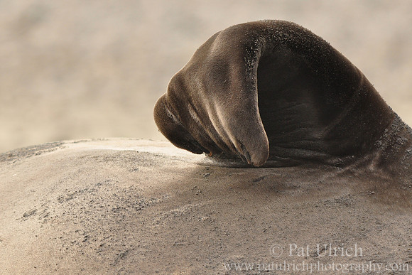 Flipper abstraction