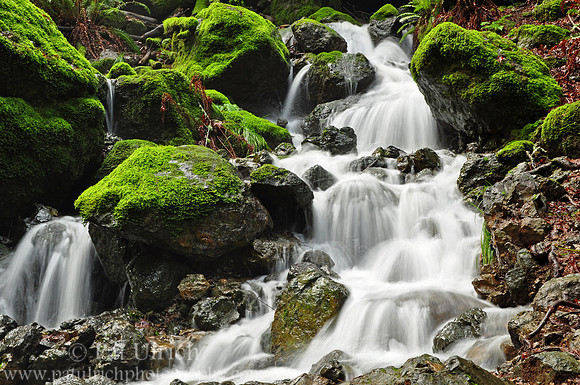 Cataract Creek