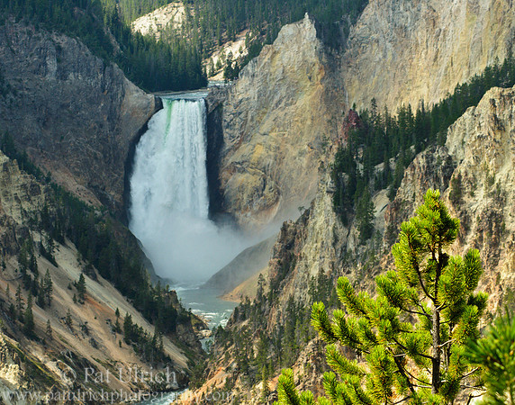 Lower Yellowstone Falls