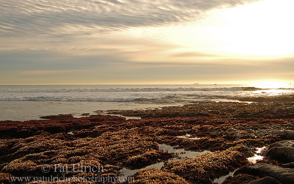 Sunset over tide pools
