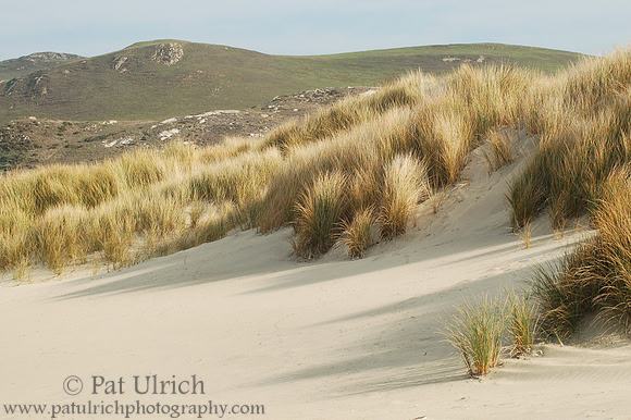 Long Shadows on the Dunes