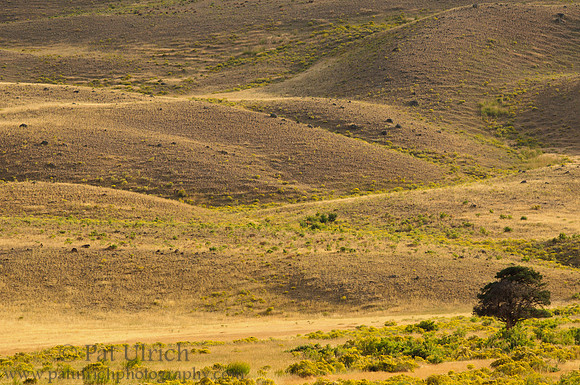 Hillside valleys