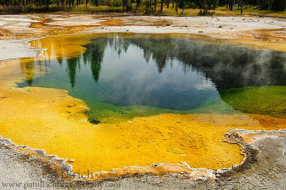 Reflection in a geothermal pool