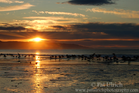 Sunrise on Drake's Beach, Point Reyes National Seashore