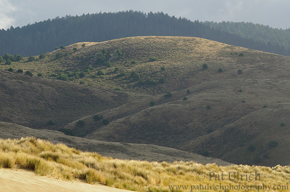 Light and shadow on the ridge