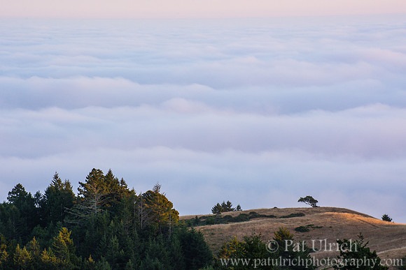 Last of the golden rays above the fog