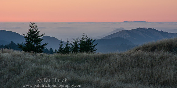 Looking toward Point Reyes