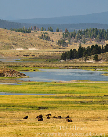 Up the Hayden River Valley