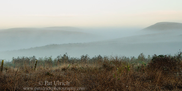 Morning valley fog on the Point Reyes Peninsula