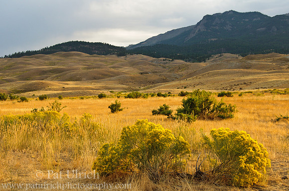 Late light across the prairie